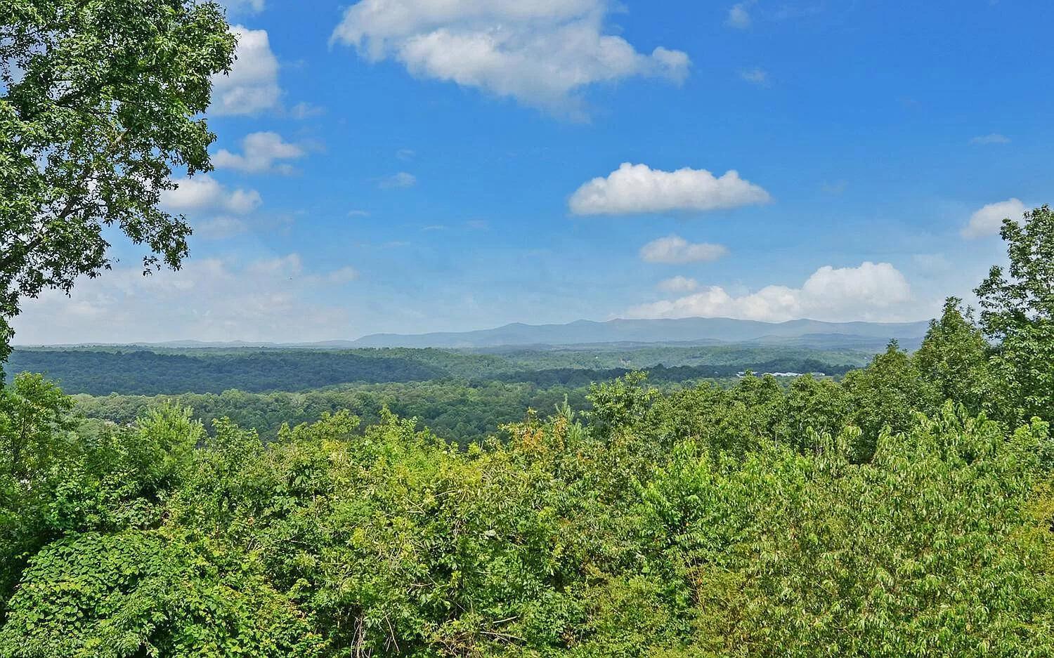 Birds Eye Cabin - Sunset & Starry Retreat Pet Friendly W Private Hottub, Fire Pit And Game Room 엘리제이 외부 사진