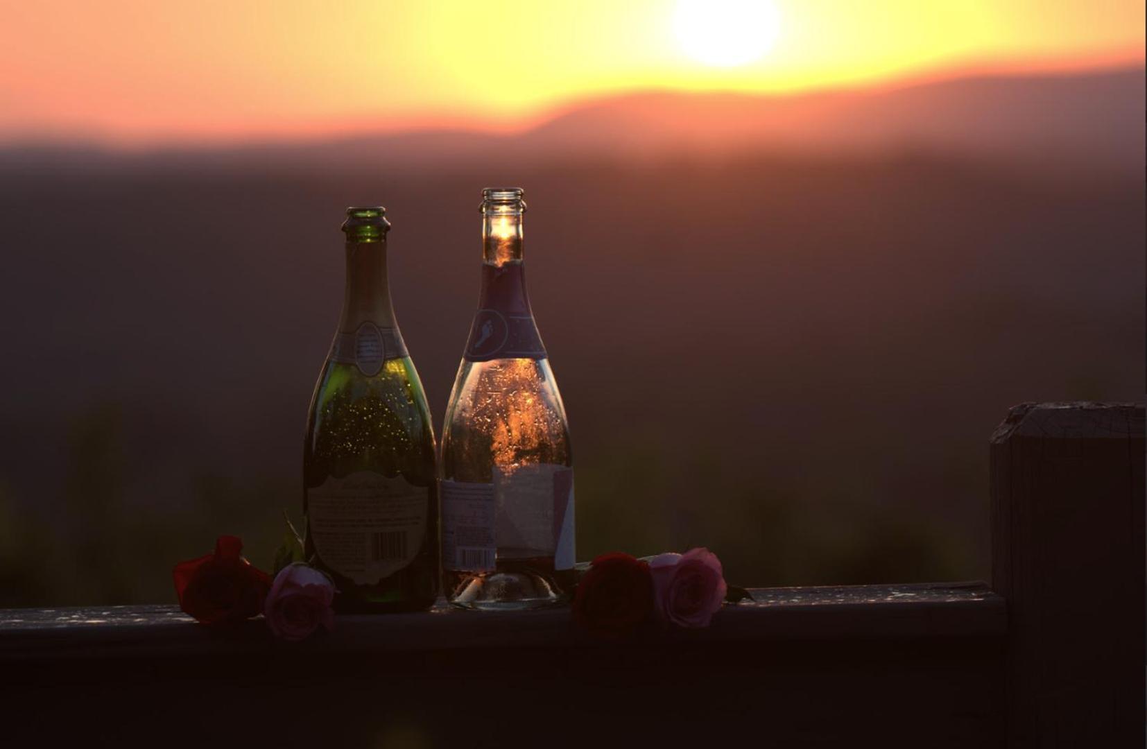 Birds Eye Cabin - Sunset & Starry Retreat Pet Friendly W Private Hottub, Fire Pit And Game Room 엘리제이 외부 사진